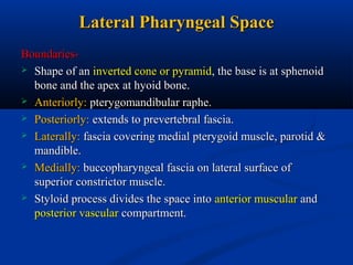 Lateral Pharyngeal Space
Boundaries Shape of an inverted cone or pyramid, the base is at sphenoid
bone and the apex at hyoid bone.
 Anteriorly: pterygomandibular raphe.
 Posteriorly: extends to prevertebral fascia.
 Laterally: fascia covering medial pterygoid muscle, parotid &
mandible.
 Medially: buccopharyngeal fascia on lateral surface of
superior constrictor muscle.
 Styloid process divides the space into anterior muscular and
posterior vascular compartment.

 