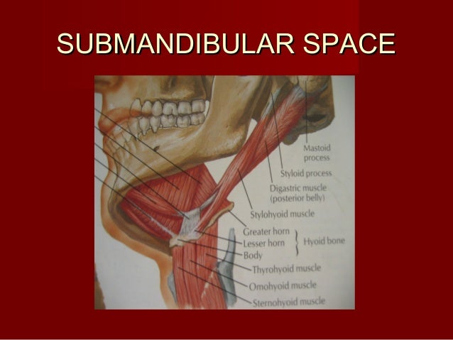 Fascial spaces