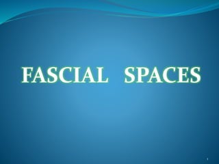 FASCIAL SPACES
1
 