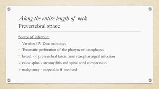 Inoperable Disc Fascial spaces of neck- anatomy and clinical significance | PPTX