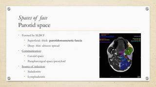 Sldcf Fascial spaces of neck- anatomy and clinical significance | PPTX