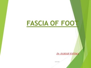FASCIA OF FOOT
Dr. SAMAH FATIMA
8/8/2021
 