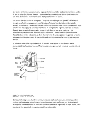 Las fascias son tejidos que actúan como capas protectoras de todos los órganos mantienen unidos
la piel los músculos, huesos, órganos y sistemas y ofrece un escudo de protección y lubricación.
Los libros de medicina enumeran más de 100 tipos diferentes de fascias.

Las fascias son estructuras de energía chi a las que es posible cargar con grandes cantidades de
energía para fortalecerlas y conservarlas húmedas y flexibles. Cuando no tienen demasiada
energía, se endurecen y se vuelvan frágiles. Las fascias son como fines conductos de energía que
circulan por el cuerpo y los canales y meridianos de energía de los órganos pasan por las fascias.
Cuando la persona pierde su energía o no que circula bien, el cuerpo se endurece y los
movimientos pueden resultar dolorosos y poco armónicos. Las fascias sanas son sinónimo de
flexibilidad, de unidad estructural, es decir dispondremos de un cuerpo sano y vigoroso. La fascias
sanas es como láminas tirantes de material delgado y resistente que ofrece un escudo protector
flexible.

El abdomen tiene varias capas de fascias, en realidad allí es donde se encuentra la mayor
concentración de fascias del cuerpo. Mejorar nuestra energía equivale a mejorar nuestro sistema
fascial.




SISTEMA CONECTIVO FASCIAL

Somos una fascia grande. Nuestros nervios, músculos, capilares, huesos, etc. existen y pueden
realizar sus funciones gracias al orden y conexión que permiten las fascias. Este sistema fascial
mantiene al sistema nervioso en constante conexión con todo el organismo, es decir, ayuda junto
con los nervios a que todo el organismo esté interrelacionado.
 