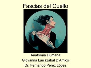 Fascias del Cuello




     Anatomía Humana
Giovanna Larrazábal D’Amico
 Dr. Fernando Pérez López
 