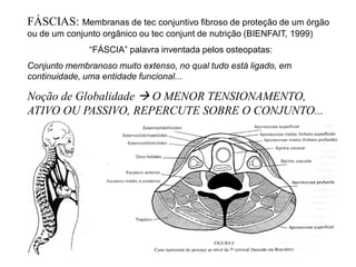 FÁSCIAS: Membranas de tec conjuntivo fibroso de proteção de um órgão
ou de um conjunto orgânico ou tec conjunt de nutrição (BIENFAIT, 1999)
“FÁSCIA” palavra inventada pelos osteopatas:
Conjunto membranoso muito extenso, no qual tudo está ligado, em
continuidade, uma entidade funcional...
Noção de Globalidade  O MENOR TENSIONAMENTO,
ATIVO OU PASSIVO, REPERCUTE SOBRE O CONJUNTO...
 