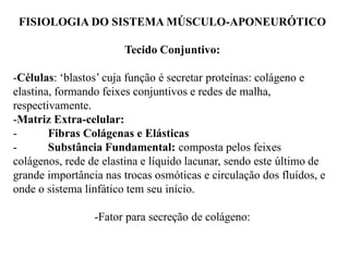 FISIOLOGIA DO SISTEMA MÚSCULO-APONEURÓTICO
Tecido Conjuntivo:
-Células: ‘blastos’ cuja função é secretar proteínas: colágeno e
elastina, formando feixes conjuntivos e redes de malha,
respectivamente.
-Matriz Extra-celular:
- Fibras Colágenas e Elásticas
- Substância Fundamental: composta pelos feixes
colágenos, rede de elastina e líquido lacunar, sendo este último de
grande importância nas trocas osmóticas e circulação dos fluídos, e
onde o sistema linfático tem seu início.
-Fator para secreção de colágeno:
 