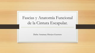 Fascias y Anatomía Funcional
de la Cintura Escapular.
Dafne Amairany Hinojos Guerrero
 