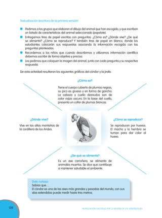 104 MOVILIZACIÓN NACIONAL POR LA MEJORA DE LOS APRENDIZAJES
Textualización (escritura de la primera versión)
Pedimos a los grupos que elaboren el dibujo del animal que han escogido, y que escriban
un listado de características del animal seleccionado (papelote).
Entregamos tiras de papel escritas con preguntas: ¿Cómo es? ¿Dónde vive? ¿De qué
se alimenta? ¿Cómo se reproduce? Y también tiras de papel en blanco, donde los
estudiantes colocarán sus respuestas asociando la información recogida con las
preguntas planteadas.
Recordemos a los niños que cuando describimos y utilizamos información científica
debemos escribir de forma objetiva y precisa.
Les pedimos que coloquen la imagen del animal, junto con cada pregunta y su respectiva
respuesta.
De esta actividad resultaron los siguientes gráficos del cóndor y la jirafa.
¿Cómo es?
¿De qué se alimenta?
¿Dónde vive? ¿Cómo se reproduce?
Tiene el cuerpo cubierto de plumas negras,
su pico es grueso y en forma de gancho.
La cabeza y cuello desnudos son de
color rojizo oscuro. En la base del cuello,
presenta un collar de plumas blancas.
Es un ave carroñera, se alimenta de
animales muertos. Se dice que contribuye
a mantener saludable el ambiente.
Vive en las altas montañas de
la cordillera de los Andes.
Se reproducen por huevos.
El macho y la hembra se
turnan para dar calor al
huevo.
Dato curioso:
Sabías que…
El cóndor es una de las aves más grandes y pesadas del mundo, con sus
alas extendidas puede medir hasta tres metros.
 