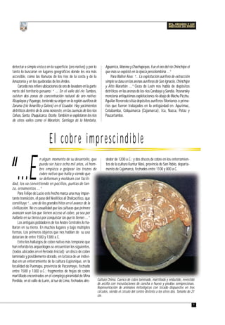 Fasciculo1 | PDF