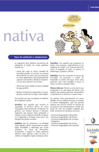 Gobierno de Mend
subsecretaría de medio ambiente fascículo 16 página 3
conceptos
Tipos de ambientes y adaptaciones
La vegetación tiene distintos mecanismos de
adaptación al medio, los cuales podemos
resumir así:
. Tomar del suelo la mayor cantidad de
humedad posible, ya sea por un extenso
desarrollo de sus raíces, por una ubicación
en zonas deprimidas o por la búsqueda de
espacios más abiertos, donde la competen-
cia con otras especies sea mínima.
. Almacenar en los tejidos la mayor cantidad
de agua posible.
. Reducir al máximo la evaporación y la trans-
piración a través de sus hojas y otros tejidos.
De acuerdo con esto, las plantas se clasifican
de la siguiente manera:
Xerófilas: Son aquellas que resisten la
sequedad. El término deriva de xeros
(sequedad) y filos (amante de o amiga de). En
general, son hierbas leñosas y arbustos
espinosos que poseen hojas pequeñas y
espinas. Las tres especies de jarilla, el alpata-
co, el algarrobo y el chañar, entre otros, son
ejemplos de plantas xerófilas.
Halófilas: Son las resistentes a la salinidad
(halos significa salino). Se presentan en suelos
bajos, inundables y salinizados por acción
antrópica. En zonas de Llancanelo,
Guanacache o Laguna La Salina podemos
observar estas especies, como el jume, la
vidriera, el vinagrillo, el apen, la zampa y otros.
Samófilas: Son aquéllas que prosperan en
suelos muy arenosos, especialmente en los
médanos de Lavalle y las Travesías del Este,
como el junquillo, el tupe, el retamo, el
albaricoque, el parrón y demás.
Hidrófilas: Son las resistentes al exceso de
humedad. Se presentan a orillas de
humedales o dentro del agua. Entre otros
podemos citar como ejemplo el junco, la
totora, la chilca y el pájaro bobo.
Plantas efímeras: Tienen su ciclo vital en una
temporada o en una época de lluvias. Esto
significa que pueden germinar, desarrollarse
y reproducirse en sólo tres o cuatro meses.
Las plantas viven generalmente en comu-
nidades. Por eso utilizaremos para su estudio
el criterio fitogeográfico, que nos permite
ordenar este recurso natural en función de
las especies más representativas. Desde este
punto de vista, las unidades vegetales que
están presentes en Mendoza son éstas:
. Provincia Fitogeográfica Altoandina.
. Provincia Fitogeográfica del Monte.
. Provincia Fitogeográfica de la Estepa
Patagónica.
. Provincia Fitogeográfica de la Puna.
. Provincia Fitogeográfica del Cardonal.
nativa
 