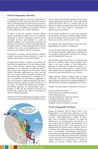 Provincia Fitogeográfica Altoandina
En la República Argentina, la Provincia Altoandina se
extiende por las altas montañas del Oeste desde el
límite con Bolivia hasta Tierra del Fuego. En términos
generales, en Mendoza, la Provincia Altoandina se
presenta sobre la Cordillera de los Andes, entre los
2.200-2.300msnm y los 4.200-4.500msnm.
El relieve es de alta montaña. Presenta laderas
suaves, escarpadas y también mesetas. El suelo pre-
dominante es rocoso o pedregoso y de textura ma-
yormente arenosa; generalmente es suelto e
inmaduro debido a las características extremas del
clima, que no permiten un mayor desarrollo del per-
fil edáfico (suelo). El clima preponderante es de alta
montaña, frío y seco, con precipitaciones en forma
de nieve, principalmente durante el invierno.
Predominan las estepas o pastos de altura. También
pueden encontrarse estepas arbustivas y vegas en
aquellos sitios donde se acumula humedad.
La vegetación de altura es abierta y discontinua, vol-
cada hacia las pendientes, en la que dominan plan-
tas en cojín (diversas yaretas) muy fuertemente
adaptadas a las condiciones de extrema aridez y
muy severas, con congelamiento de suelos, fuertes
vientos y períodos vegetativos muy cortos (de sólo
dos a tres meses al año), en donde las especies de
flora deben lograr reproducirse y completar sus ci-
clos. A medida que se desciende, la vegetación es
más rica en pastos y aparecen arbustos más altos y
plantas herbáceas, algunas de flores llamativas. En
los valles y las laderas de sombría con vertientes y
manantiales aparecen las denominadas vegas y
mallines. La flora de alta montaña es muy rica en
endemismos (especies que sólo se encuentran en
tipos de hábitats singulares).
Dentro de la Provincia Altoandina, los Andes mendo-
cinos pertenecen particularmente al Distrito Cuyano.
Éste presenta, en las lomadas del fondo de los valles,
estepas graminosas (pasturas de varias especies de
plantas del género Stipa sp), mientras que en las
laderas escarpadas la vegetación tiende a ser del tipo
arbustivo (con varias especies dominantes de
Adesmia sp), de baja altura.
En los Andes mendocinos se encuentran alrededor
de 60 especies de plantas endémicas. Algunos ejem-
plos lo constituyen diversas especies de los géneros
Nassauvia, Azorella y Adesmia, entre otras.
Las especies más representativas de esta provincia
fitogeográfica se detallan a continuación:
Cuerno de Cabra (Adesmia aegiceras): Arbusto bajo
con numerosas espinas, follaje blanco plateado, flo-
res amarillas y hojas grandes. Se observa en el ingre-
so de la Quebrada de Horcones.
Leña Amarilla (Adesmia pinifolia): Es el arbusto más
alto de la cordillera. Posee ramas amarillas, apre-
tadas y de pocas espinas, y fruto densamente
plumoso. Es resistente a la cobertura de nieve y su
leño tiene un gran poder calórico. Cumple una fun-
ción importante en la retención de avalanchas. Se la
encuentra entre Puente del Inca y Las Cuevas.
Solupe (Ephedra chilensis): Arbusto bajo, de ramas
intrincadas, con rizomas. Sus flores son primitivas
(gimnospermas). Dentro de su amplia distribución, se
extiende hasta la Provincia Fitogeográfica de la Puna.
También hay otras especies relevantes, como éstas:
Yareta (Azorella monanthos)
Yerba del Guanaco (Oxalis erytrorrhiza)
Coirón (Stipa speciosa)
Cola de Quirquincho (Nassauvia revoluta)
Cortadera (Cortaderia radiuscula)
Escarapela (Viola atropurpurea)
Ortiga de la Sierra (Caiophora coronata)
Provincia Fitogeográfica del Monte
Ocupa en Mendoza toda la llanura entre el río
Desaguadero y el piedemonte ubicado en la cota
1.000msnm. Limita al sur con la Estepa Patagónica y
las cotas 1.500-2.000msnm, en donde se super-
pone con el Cardonal o Prepuna a la altura de
Villavicencio. Sus precipitaciones son estivales y al
año oscilan entre un rango de 80 milímetros, en el
departamento de Lavalle, a 350 milímetros, en el
departamento de General Alvear (sudeste). El estra-
to arbóreo está representado por el algarrobo, que
forma comunidades denominadas algarrobales.
Estos bosques de algarrobo han sido degradados por
la extracción de madera para el ferrocarril y para leña
en gran parte del secano o desierto mendocino. En el
estrato arbustivo son característicos la jarrilla, el
chañar y el retamo. El Monte posee numerosas
educación ambiental fascículo 16 . página 4
 