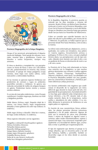 Provincia Fitogeográfica de la Estepa Patagónica
Ocupa el Sur provincial, principalmente el departa-
mento de Malargüe. Tiene paisaje de volcanes, esco-
riales, mesetas altas y penillanuras. Cuenta con
litosoles o suelos incipientes, siempre muy
arenosos.
El clima es desértico y templado-frío, con precipita-
ciones en forma de lluvia o nieve con 150-250mm
por año, preferentemente en invierno. Hay vientos
constantes. El paisaje de estepa patagónica ocupa
mesetas, áreas bajas (con suelos salinos, como
Llancanelo) y sobrecoladas basálticas.
En las mesetas se aprecian especies herbáceas con
predominio de coirones y tupes en ambientes
psamófilos (arenales y médanos). Se aprecia una
reducida comunidad de molles de antiguos bosques
en galería. Predominan fuertes vientos y escasos
estratos arbóreos.
Es un área de marcados endemismos, como Prosopis
castellanosii, Condalia megacarpa, Bowlesia ruiz lealii
y Mafgallana porifolia.
Molle blanco (Schinus roigii): Pequeño árbol de 4
metros, con tronco blanco, hojas irregularmente
dentadas y frutos globosos de color rojo violáceo. Es
endémica.
Molle negro (Schinus o’donellii): Árbol de 4 metros,
de hojas verdes brillantes. Es endémica.
Otras especies relevantes son las siguientes:
Patagüilla o colimamill (Anarthropyllum rigidum).
Melosa (Grindelia chiloensis).
Pichanilla (Fabiana peckii).
Retamillo (Stillinga patagónica).
Solupe blanco (Ephedra triandra).
Solupe negro (Neosparton aphyllum).
Cebadilla (Bromus brevis).
Yerba de la cata (Senecio multicaulis).
Yerba loca (Astragalus pehuenches).
Provincia Fitogeográfica de la Puna
En la República Argentina, la provincia puneña se
extiende por las altas montañas y mesetas del
noroeste, desde el límite con Bolivia hasta Mendoza.
Limita por el norte con la Provincia Altoandina y por
el sur con la Provincia Prepuneña o con la del Monte.
Ocupa en Mendoza una estrecha franja que penetra
desde San Jua hasta Los Paramillos de Villavicencio.
Cubre un corredor que coincide bastante con la
parte más alta de la precordillera, por encima de los
1.700msnm. En particular, se hallan especies que se
presentan desde Perú hasta Mendoza, como la tola y
la mutisia.
Su relieve está conformado por altiplanicies, cerros y
quebradas. Los suelos son inmaduros, muy pobres
en materia orgánica, frecuentemente arenosa o
pedregosa. El clima es frío y seco, con gran amplitud
térmica diaria. Las precipitaciones son de tipo esti-
vales, faltando nieve durante casi todo el año y con
un gradiente de lluvias en disminución de norte a sur
y de este a oeste.
La Provincia de la Puna está relacionada en forma
muy estrecha con la Patagónica, ya que muchos
géneros dominantes son comunes a ambas regiones
(Junellia, Fabiana, Chuquiraga, Nardophyllum,
Adesmia y Mullinum, entre otras). Las afinidades con
la Provincia Altoandina también son muy grandes,
pero las características fisonómicas y florísticas per-
miten diferenciar ambas provincias.
Los factores ambientales más negativos que condi-
cionan el desarrollo de la vegetación son éstos:
déficit de agua durante la mayor parte del año, irre-
gularidad de las precipitaciones, humedad atmosféri-
ca muy baja, gran radiación solar, temperaturas noc-
turnas inferiores a los 0ºC durante todo el año,
amplia variación diaria de la temperatura, suelos
sueltos y abundancia de sales solubles. A su vez,
debe destacarse la presencia de herbívoros en una
región pobre en vegetación.
En función de esas características físicas ambien-
tales, las plantas presentan diversas estructuras
adaptativas a fin de poder sobrevivir. Algunas de
éstas son la existencia de raíces muy profundas
(hasta 2 metros de longitud en algunos casos) y
carnosas, tallos verdes fotosintetizadores, espinas y
ausencia de hojas. Esas estructuras responden prin-
cipalmente a la necesidad de obtener agua, acumu-
larla o evitar su pérdida por evapotranspiración.
El tipo de vegetación que domina el paisaje es la
estepa arbustiva, que se encuentra junto a las del
tipo herbácea, halófila y sammófila. También se
desarrollan vegas en los sitios donde se acumula
humedad.
educación ambiental fascículo 16 . página 6
 
