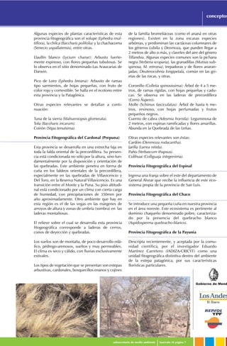 Gobierno de Mend
subsecretaría de medio ambiente fascículo 16 página 7
conceptosconceptos
Algunas especies de plantas características de esta
provincia fitogeográfica son el solupe (Ephedra mul-
tiflora), la chilca (Baccharis polifolia) y la chachacoma
(Senecio uspallatensis), entre otras.
Llaullín blanco (Lycium chanar): Arbusto fuerte-
mente espinoso, con flores pequeñas tubulosas. Se
lo observa en el sitio denominado Las Araucarias de
Darwin.
Pico de Loro (Ephedra breana): Arbusto de ramas
tipo sarmientos, de hojas pequeñas, con fruto de
color rojo y comestible. Se halla en el ecotono entre
esta provincia y la Patagónica.
Otras especies relevantes se detallan a conti-
nuación:
Tuna de la sierra (Mahueniopsis glomerata).
Tola (Baccharis incarum).
Coirón (Stipa tenuísima).
Provincia Fitogeográfica del Cardonal (Prepuna)
Esta provincia se desarrolla en una estrecha faja en
toda la falda oriental de la precordillera. Su presen-
cia está condicionada no sólo por la altura, sino fun-
damentalmente por la disposición y orientación de
las quebradas. Este ambiente penetra en forma de
cuña en los faldeos orientales de la precordillera,
especialmente en las quebradas de Villavicencio y
Del Toro, en la Reserva Natural Villavicencio. Es una
transición entre el Monte y la Puna. Su piso altitudi-
nal está condicionado por un clima con cierta carga
de humedad, con precipitaciones de 350mm por
año aproximadamente. Otro ambiente que hay en
esta región es el de las vegas en las márgenes de
arroyos de altura y zonas de umbría (sombra) en las
laderas montañosas.
El relieve sobre el cual se desarrolla esta provincia
fitogeográfica corresponde a laderas de cerros,
conos de deyección y quebradas.
Los suelos son de montaña, de poco desarrollo edá-
fico, pédrego-arenosos, sueltos y muy permeables.
El clima es seco y cálido, con lluvias exclusivamente
estivales.
Los tipos de vegetación que se presentan son estepas
arbustivas, cardonales, bosquecillos enanos y cojines
de la familia bromeliáceas (como el ananá en otras
regiones). Existen en la zona escasas especies
arbóreas, y predominan las cactáceas columnares de
los géneros Lobilia y Denmoza, que pueden llegar a
2 metros de alto o más, y claveles del aire del género
Tillandsia. Algunas especies comunes son la pichana
negra (Verbena scoparia), las granadillas (Mutisia sub-
spinosa, M. retrorsa), trepadoras y de flores anaran-
jadas; Deuterocohnia longipetala, común en las gri-
etas de las rocas, y otras.
Coronillo (Colletia spinosissima): Árbol de 4 a 5 me-
tros, de ramas rígidas, con hojas pequeñas y cadu-
cas. Se observa en las laderas de precordillera
(Cerro Áspero).
Molle (Schiinus fasciculatus): Árbol de hasta 6 me-
tros, resinoso, con hojas perfumadas y frutos
pequeños negros.
Cuerno de cabra (Adesmia horrida): Leguminosa de
2 metros, con espinas ramificadas y flores amarillas.
Abunda en la Quebrada de las Leñas.
Otras especies relevantes son éstas:
Cardón (Denmoza rodacantha).
Jarilla (Larrea nitida).
Paño (Verbascum thapsus).
Colihuai (Colliguaja integerrima).
Provincia Fitogeográfica del Espinal
Ingresa una franja sobre el este del departamento de
General Alvear que recibe la influencia de este eco-
sistema propia de la provincia de San Luis.
Provincia Fitogeográfica del Chaco
Se introduce una pequeña cuña en nuestra provincia
en el área noreste. Este ecosistema es pertinente al
dominio chaqueño denominado pobre, caracteriza-
do por la presencia del quebracho blanco
(Aspidosperma quebracho-blanco).
Provincia Fitogeográfica de la Payunia
Descripta recientemente, y aceptada por la comu-
nidad científica, por el investigador Eduardo
Martínez Carretero (IADIZA-CRICYT) como una
unidad fitogeográfica distintiva dentro del ambiente
de la estepa patagónica, por sus características
florísticas particulares.
 