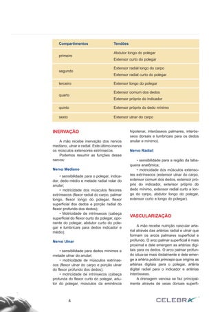 INERVAÇÃO
A mão recebe inervação dos nervos
mediano, ulnar e radial. Este último inerva
os músculos extensores extrínsecos.
Podemos resumir as funções desse
nervos:
Nervo Mediano
• sensibilidade para o polegar, indica-
dor, dedo médio e metade radial volar do
anular;
• motricidade dos músculos flexores
extrínsecos (flexor radial do carpo, palmar
longo, flexor longo do polegar, flexor
superficial dos dedos e porção radial do
flexor profundo dos dedos);
• Motricidade de intrínsecos (cabeça
superficial do flexor curto do polegar, opo-
nente do polegar, abdutor curto do pole-
gar e lumbricais para dedos indicador e
médio).
Nervo Ulnar
• sensibilidade para dedos mínimos e
metade ulnar do anular;
• motricidade de músculos extrínse-
cos (flexor ulnar do carpo e porção ulnar
do flexor profundo dos dedos);
• motricidade de intrínsecos (cabeça
profunda do flexor curto do polegar, adu-
tor do polegar, músculos da eminência
hipotenar, interósseos palmares, interós-
seos dorsais e lumbricais para os dedos
anular e mínimo).
Nervo Radial:
• sensibilidade para a região da taba-
queira anatômica;
• motricidade dos músculos extenso-
res extrínsecos (extensor ulnar do carpo,
extensor comum dos dedos, extensor pró-
prio do indicador, extensor próprio do
dedo mínimo, extensor radial curto e lon-
go do carpo, abdutor longo do polegar,
extensor curto e longo do polegar).
VASCULARIZAÇÃO
A mão recebe nutrição vascular arte-
rial através das artérias radial e ulnar que
formam os arcos palmares superficial e
profundo. O arco palmar superficial é mais
proximal e dele emergem as artérias digi-
tais para os dedos. O arco palmar profun-
do situa-se mais distalmente e dele emer-
ge a artéria policis princeps que origina as
artérias digitais para o polegar, artéria
digital radial para o indicador e artérias
interósseas.
A drenagem venosa se faz principal-
mente através de veias dorsais superfi-
4
Compartimentos Tendões
primeiro
Abdutor longo do polegar
Extensor curto do polegar
segundo
Extensor radial longo do carpo
Extensor radial curto do polegar
terceiro Extensor longo do polegar
quarto
Extensor comum dos dedos
Extensor próprio do indicador
quinto Extensor próprio do dedo mínimo
sexto Extensor ulnar do carpo
 