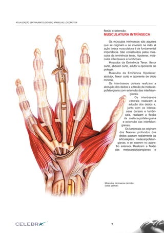 7
ATUALIZAÇÃO EM TRAUMATOLOGIA DO APARELHO LOCOMOTOR
flexão e extensão.
MUSCULATURA INTRÍNSECA
Os músculos intrínsecos são aqueles
que se originam e se inserem na mão. A
ação dessa musculatura é de fundamental
importância. São constituídos pelos mús-
culos da eminência tenar, hipotenar, mús-
culos interósseos e lumbricais.
Músculos da Eminência Tenar: flexor
curto, abdutor curto, adutor e oponente do
polegar.
Músculos da Eminência Hipotenar:
abdutor, flexor curto e oponente de dedo
mínimo.
Os interósseos dorsais realizam a
abdução dos dedos e a flexão da metacar-
pofalangiana com extensão das interfalan-
gianas.
Os interósseos
ventrais realizam a
adução dos dedos e,
junto com os interós-
seos dorsais e lumbri-
cais, realizam a flexão
da metacarpofalangiana
e extensão das interfalan-
gianas.
Os lumbricais se originam
dos flexores profundos dos
dedos passam radialmente às
articulações metacarpofalan-
gianas, e se inserem no apare-
lho extensor. Realizam a flexão
das metacarpofalangianas e
Músculos intrínsecos da mão
(vista palmar)
 