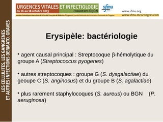Erysipèle: bactériologie
• agent causal principal : Streptocoque β-hémolytique du
groupe A (Streptococcus pyogenes)
• autres streptocoques : groupe G (S. dysgalactiae) du
geoupe C (S. anginosus) et du groupe B (S. agalactiae)
• plus rarement staphylocoques (S. aureus) ou BGN (P.
aeruginosa)
 