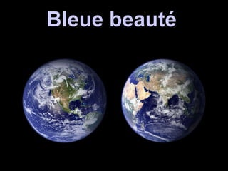 Bleue beauté  