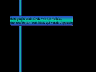 Le photographe était sûr de voir ses huskies,  se faire bouffer par l'ours blanc qui venait d'apparaître… 