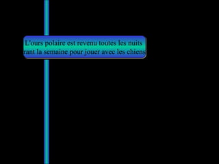 L'ours polaire est revenu toutes les nuits  durant la semaine pour jouer avec les chiens… 