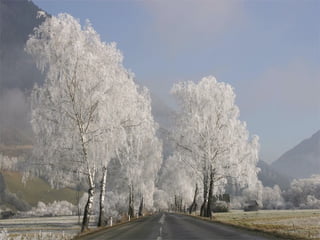 33. Believe in miracles. 34. God loves you because of who God is, not because of  anything you did or didn't do. 