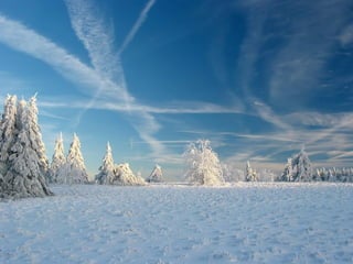 39. Get outside every day.  Miracles are waiting everywhere. 40. If we all threw our problems in a pile and saw everyone else's, we'd grab ours back.  