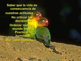 Saber que la vida es consecuencia de  nuestras actitudes . . . No criticar las decisiones Ordenar nuestro mundo Interior Practicar la humildad.  Dar  calor humano . .  Visita:  http:// www.RenuevoDePlenitud.com 