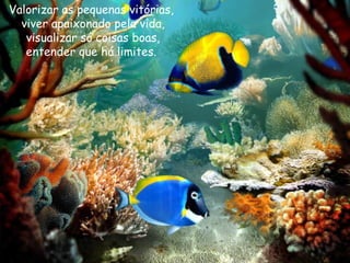 Valorizar as pequenas vitórias,  viver apaixonado pela vida, visualizar só coisas boas, entender que há limites.  