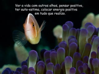 Ver a vida com outros olhos, pensar positivo, ter auto-estima, colocar energia positiva  em tudo que realizo. 
