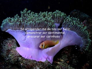 Só arrepender-me de não ser feliz, demonstrar ser sentimental, procurar ser carinhoso !  