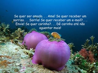 Se quer ser amado. . . Ame! Se quer receber um sorriso. . . Sorría! Se quer receber um e-mail?. . . Envie! Se quer carinho?. . . Dê carinho até não aguentar mais! 