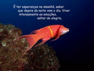 É ter esperanças no amanhã, saber  que depois da noite vem o dia. Viver  intensamente as emoções,  saltar de alegria. 