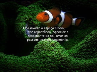 Não invadir o espaço alheio,  ser espontâneo. Apreciar o nascimento do sol, amar as pessoas incondicionalmente. 