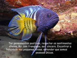 Ter pensamentos positivos, respeitar os sentimentos alheios. Rir com franqueza, ser  sincero. Encontrar a felicidade nas pequenas coisas. entender que somos  pessoas únicas.  