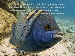 Cuidar das aparências, descobrir que precisamos de outros. Buscar novos horizontes, Perceber que  somos humanos. Vencer a nós mesmos, ver  a beleza da alma e vencer a passividade. 