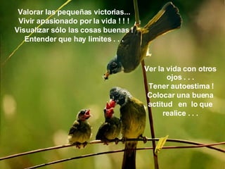 Valorar las pequeñas victorias... Vivir apasionado por la vida ! ! ! Visualizar sólo las cosas buenas ! Entender que hay limites . . . Ver la vida con otros ojos . . . Tener autoestima ! Colocar una buena actitud  en  lo que realice . . . 