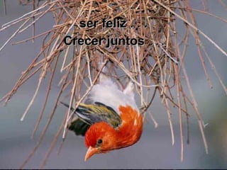 ser feliz . . . Crecer juntos   . . .  