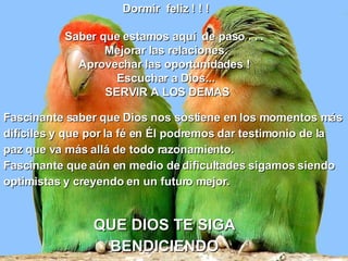 Dormir  feliz ! ! ! Saber que estamos aquí  de paso . . .  Mejorar las relaciones. Aprovechar las oportunidades !  Escuchar a Dios...   SERVIR A LOS DEMAS   Fascinante saber que Dios nos sostiene en los momentos más difíciles y que por la fé en Él podremos dar testimonio de la paz que va más allá de todo razonamiento. Fascinante que aún en medio de dificultades sigamos siendo optimistas y creyendo en un futuro mejor.     QUE DIOS TE SIGA BENDICIENDO 