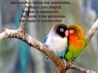 Aprovechar todos los momentos . . . Trabajar con alegria, Vencer la depresión . . . Perdonar a las personas, Estimular la creatividad  . .  