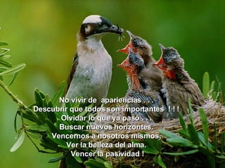 No vivir de  apariencias . . . Descubrir que todos son importantes  ! ! ! Olvidar lo que ya pasó . . . Buscar nuevos horizontes. Vencernos a nosotros mismos, Ver la belleza del alma. Vencer la pasividad ! 