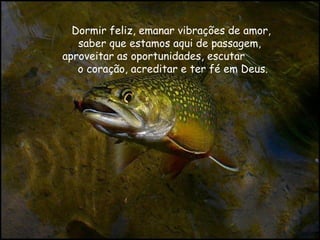 Dormir feliz, emanar vibrações de amor,
   saber que estamos aqui de passagem,
aproveitar as oportunidades, escutar
   o coração, acreditar e ter fé em Deus.
 
 
 
