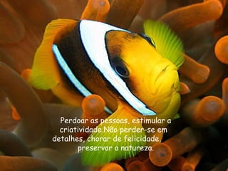 Perdoar as pessoas, estimular a
  criatividade.Não perder-se em
detalhes, chorar de felicidade,
       preservar a natureza.
 