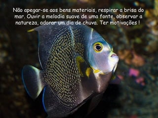 Não apegar-se aos bens materiais, respirar a brisa do
mar. Ouvir a melodia suave de uma fonte, observar a
 natureza, adorar um dia de chuva. Ter motivações !
 