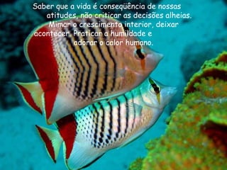 Saber que a vida é conseqüência de nossas
   atitudes, não criticar as decisões alheias.
    Mimar o crescimento interior, deixar
acontecer. Praticar a humildade e
           adorar o calor humano.
 