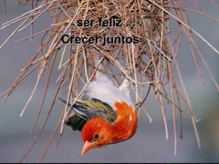 ser feliz . . . Crecer juntos   . . .  