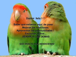 Dormir  feliz ! ! ! Saber que estamos aquí  de paso . . .  Mejorar las relaciones. Aprovechar las oportunidades !  Escuchar a Dios...   SERVIR A LOS DEMAS        QUE DIOS TE SIGA BENDICIENDO     