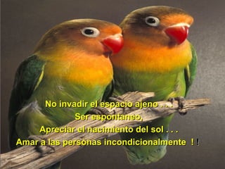No invadir el espacio ajeno . . . Ser espontaneo, Apreciar el nacimiento del sol . . . Amar a las personas incondicionalmente  !  !  