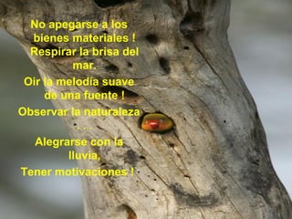 No apegarse a los bienes materiales ! Respirar la brisa del mar. Oir la melodía suave de una fuente ! Observar la naturaleza . . . Alegrarse con la lluvia, Tener motivaciones !   