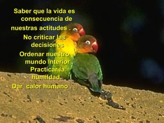 Saber que la vida es consecuencia de  nuestras actitudes . . . No criticar las decisiones Ordenar nuestro mundo Interior Practicar la humildad.  Dar  calor humano . .  