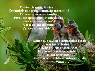 Cuidar das aparências . . . Descobrir que precisamos de outros ! ! ! Buscar novos horizontes. Perceber que somos humanos ! ! ! Vencer a nós mesmos. Ver a beleza da alma.  Vencer a passividade ! Saber que a vida é conseqüência de  nossas atitudes . . . Não criticar as decisões. Mimar o crescimento interior ! Deixar acontecer. . . Praticar a humildade. Adorar o calor humano . . . 