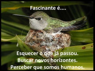   Fascinante é.... Esquecer o que já passou. Buscar novos horizontes. Perceber que somos humanos. 